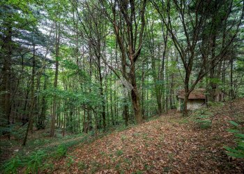 Rustico Via Giala, Barge - foto 27