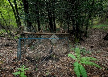 Rustico Via Giala, Barge - foto 29