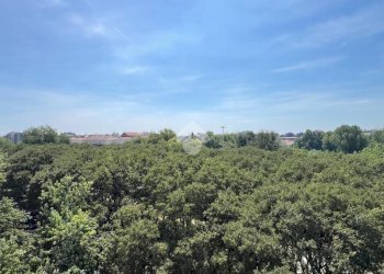 Two-room apartment Viale Caterina da Forlì, Milano (neighborhood Gambara) - photo 18