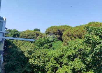 Quadrilocale Via Lamberto Loria, Genova (zona Marassi) - foto 16
