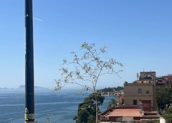 Foto 17 - Bilocale VIA DEL PARCO CARELLI, Napoli - foto 17