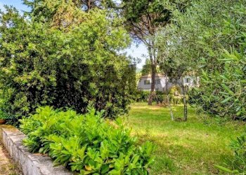 Giardino - Villa Via Delle Robinie
 
5, Nepi - photo 22