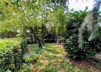 Giardino - Villa Via Delle Robinie
 
5, Nepi - photo 26