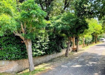 Giardino - Villa Via Delle Robinie
 
5, Nepi - photo 29