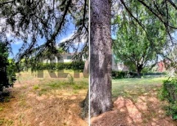 Giardino - Villa Via Delle Robinie
 
5, Nepi - photo 31