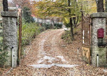 Giardino - Villa via scogno
 
1 F, Marchirolo - photo 36