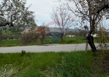 Foto 5 - Rustico Colle Campitelli, Lanciano - foto 5