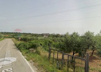 Edificio all\'aperto - Terreno agricolo Località Cianchetta via Torremontanara
58, Torrevecchia Teatina - foto 30