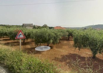 Giardino - Terreno agricolo Località Cianchetta via Torremontanara
58, Torrevecchia Teatina - foto 32