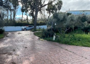 Giardino - Villa Via Finocchietto
 
10, Fossacesia - photo 83