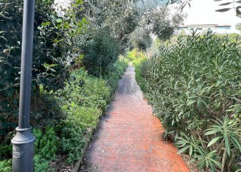Giardino - Villa Via Finocchietto
 
10, Fossacesia - photo 85