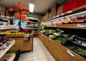 Dispensa di stoccaggio - Attività Commerciale Via Roma, Castel Frentano - foto 8