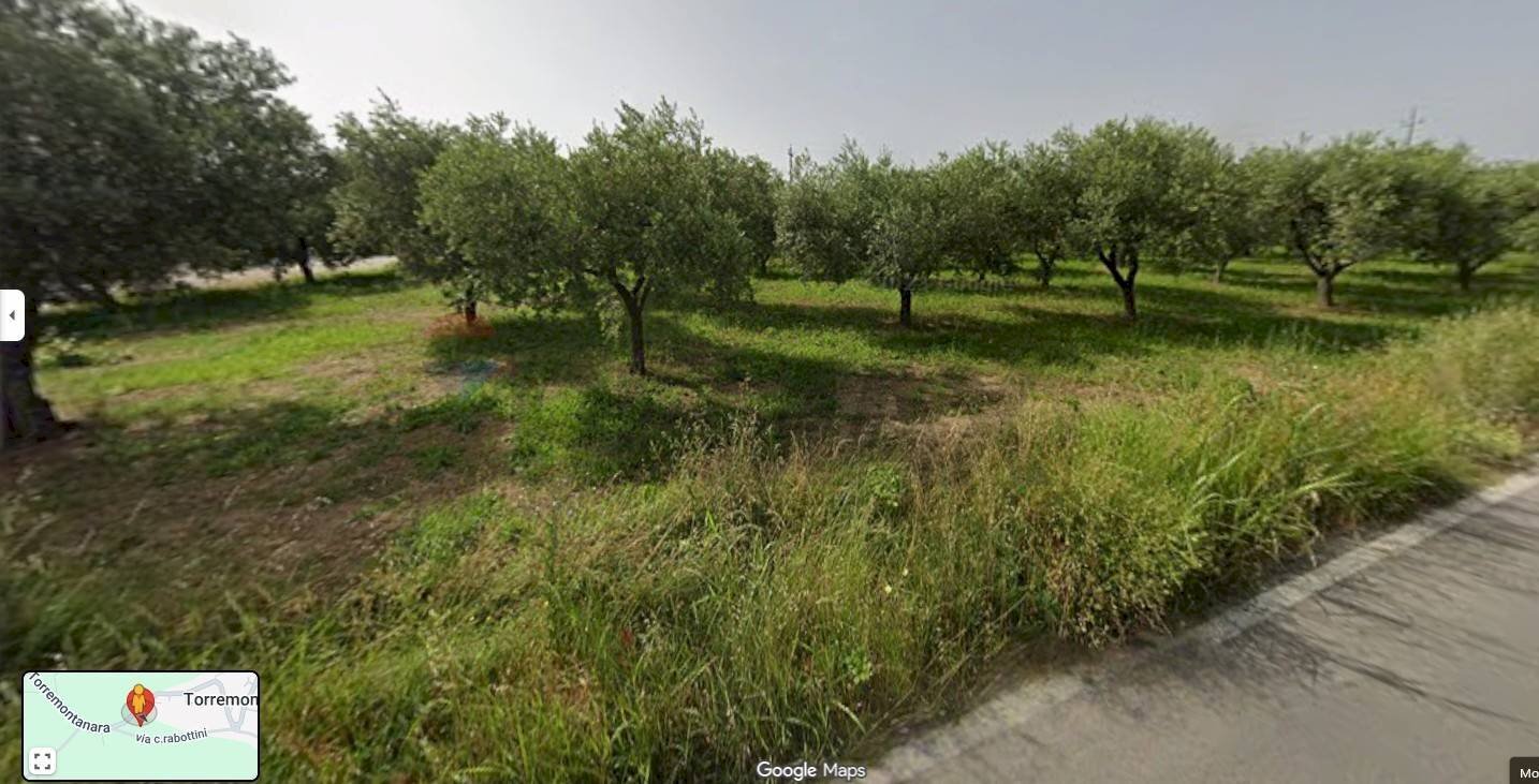 Giardino - Building land Località Cianchetta via Torremontanara
 
159, Torrevecchia Teatina - photo 2