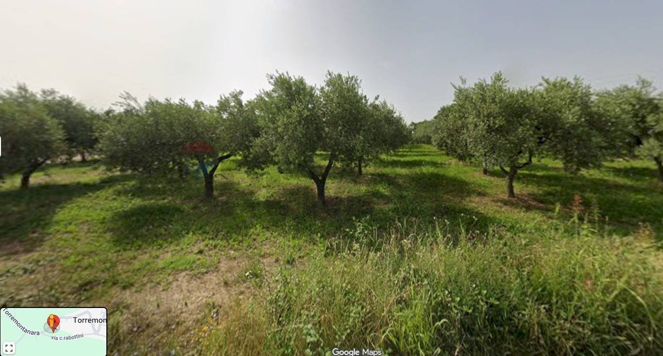Giardino - Building land Località Cianchetta via Torremontanara
 
159, Torrevecchia Teatina - photo 3
