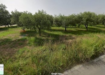 Giardino - Building land Località Cianchetta via Torremontanara
159, Torrevecchia Teatina - photo 2