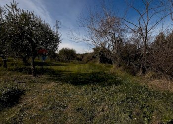 Giardino - Building land Località Cianchetta via Torremontanara
159, Torrevecchia Teatina - photo 8