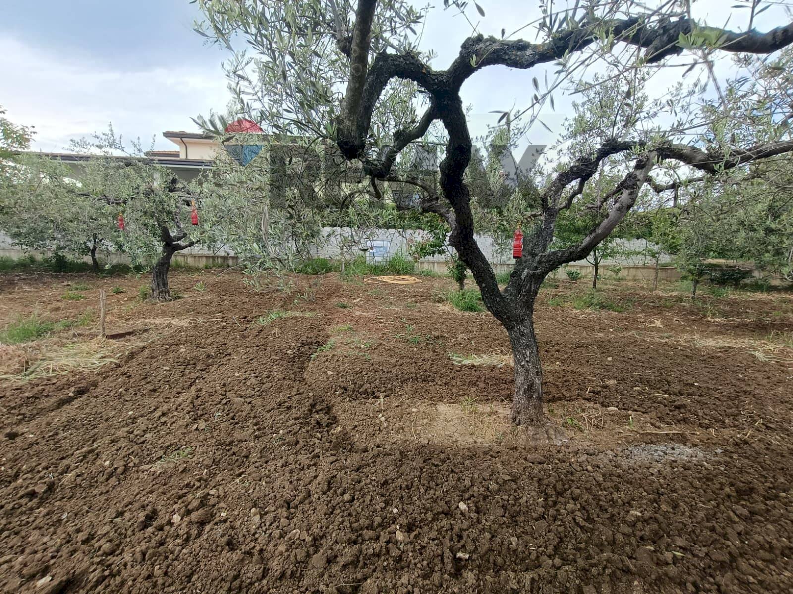 Giardino - Terreno edificabile C.da Iconicella
299/A, Lanciano - foto 2