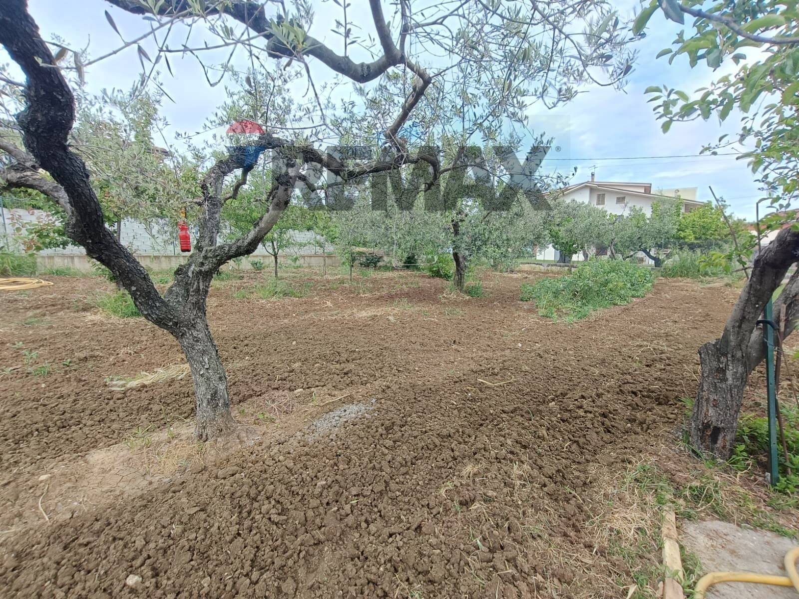 Giardino - Terreno edificabile C.da Iconicella
299/A, Lanciano - foto 3