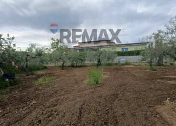 Giardino - Terreno edificabile C.da Iconicella
299/A, Lanciano - foto 4
