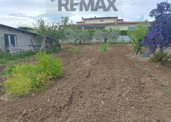 Giardino - Terreno edificabile C.da Iconicella
299/A, Lanciano - foto 5