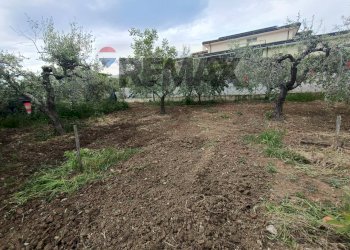 Giardino - Terreno edificabile C.da Iconicella
299/A, Lanciano - foto 7
