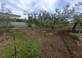 Giardino - Terreno edificabile C.da Iconicella
299/A, Lanciano - foto 9