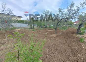 Giardino - Terreno edificabile C.da Iconicella
299/A, Lanciano - foto 11