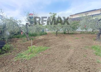 Giardino - Terreno edificabile C.da Iconicella
299/A, Lanciano - foto 12