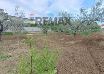 Giardino - Terreno edificabile C.da Iconicella
299/A, Lanciano - foto 13