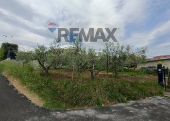 Giardino - Terreno edificabile C.da Iconicella
299/A, Lanciano - foto 16