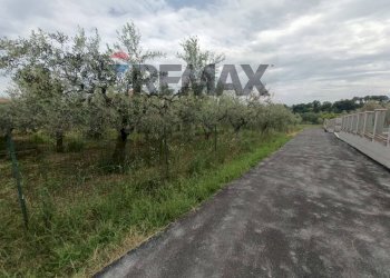 Giardino - Terreno edificabile C.da Iconicella
299/A, Lanciano - foto 20