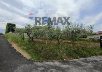 Giardino - Terreno edificabile C.da Iconicella
299/A, Lanciano - foto 21