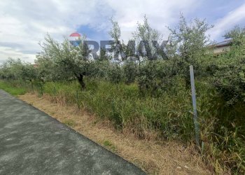 Giardino - Terreno edificabile C.da Iconicella
299/A, Lanciano - foto 22