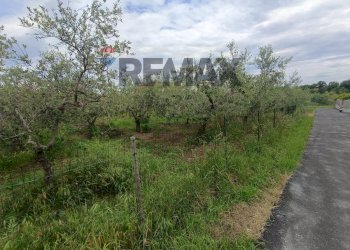 Giardino - Terreno edificabile C.da Iconicella
299/A, Lanciano - foto 24