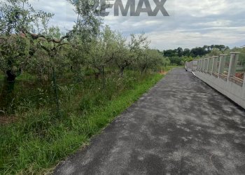 Giardino - Terreno edificabile C.da Iconicella
299/A, Lanciano - foto 25