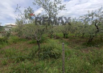 Giardino - Terreno edificabile C.da Iconicella
299/A, Lanciano - foto 27