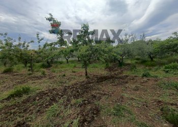 Giardino - Terreno edificabile C.da Iconicella
299/A, Lanciano - foto 29