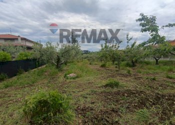 Giardino - Terreno edificabile C.da Iconicella
299/A, Lanciano - foto 30