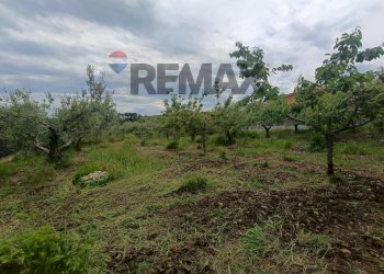 Giardino - Terreno edificabile C.da Iconicella
299/A, Lanciano - foto 32