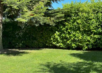 Giardino - Apartment Via Vignali
 
7, Colledimezzo - photo 51