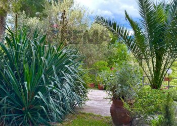Giardino - Apartment Via Vignali
 
7, Colledimezzo - photo 53