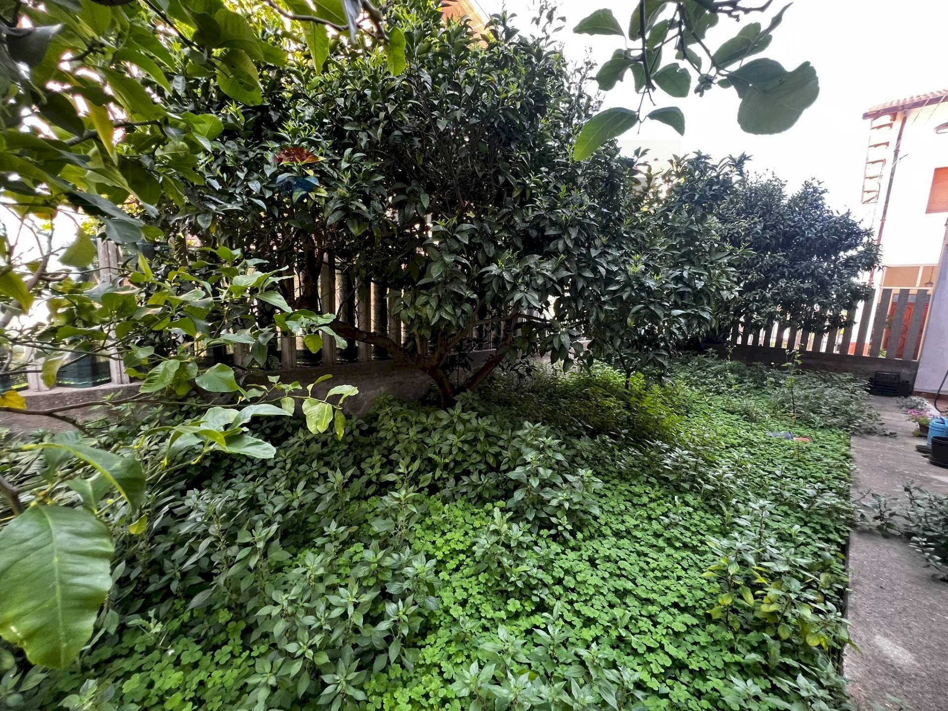 Giardino - Independent house Via Leonardo Da Vinci
 
16, Casalbordino - photo 3