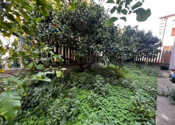 Giardino - Independent house Via Leonardo Da Vinci
 
16, Casalbordino - photo 3