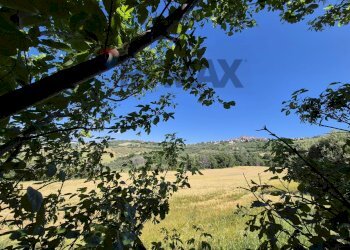 Vista delle montagne - Rustic Via Porrechi
 
6, Castel Frentano - photo 8