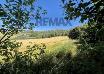 Vista delle montagne - Rustic Via Porrechi
 
6, Castel Frentano - photo 9
