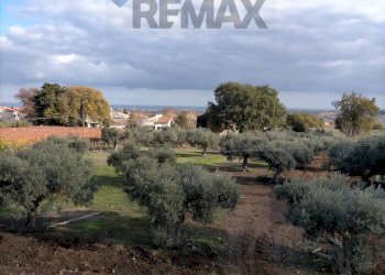 Vista delle montagne - Appartamento Via Lanciano
 
3, Casalbordino - foto 5