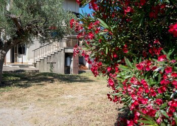 Giardino - Semi-detached house Via Sant'Egidio Vico 4
 
5, Fossacesia - photo 74