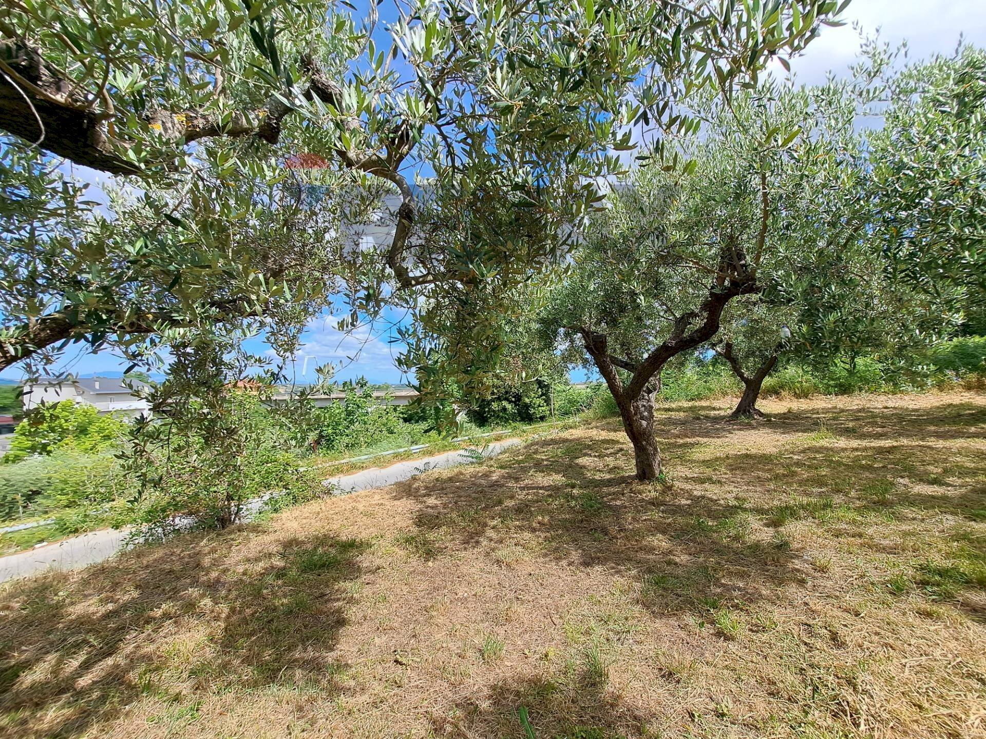 Giardino - Building land Contrada Marcianese, Lanciano - photo 1