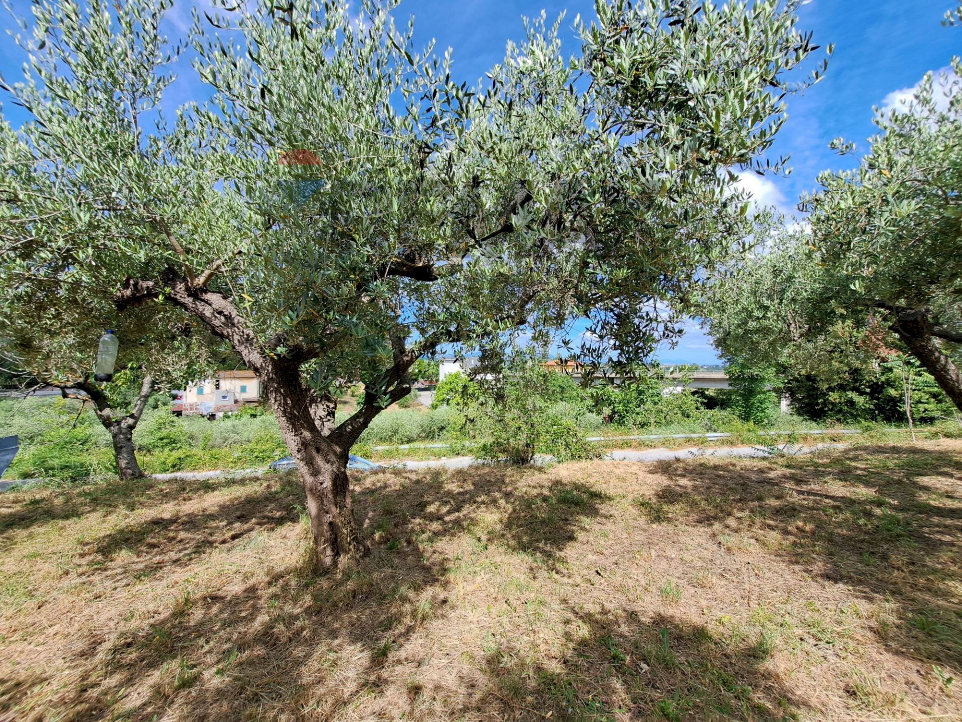 Giardino - Building land Contrada Marcianese, Lanciano - photo 3