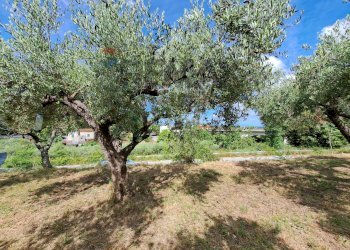 Giardino - Terreno edificabile Contrada Marcianese, Lanciano - foto 3